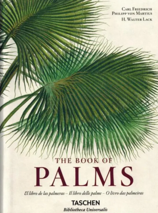 The Book of Palms