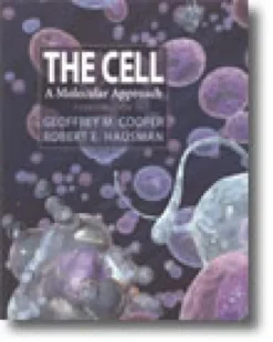 The Cell: A Molecular Approach