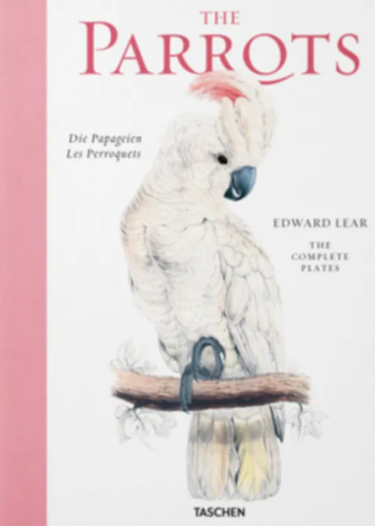 The Parrots