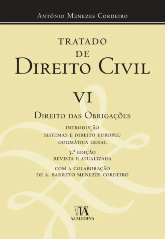Tratado de Direito Civil Português VI