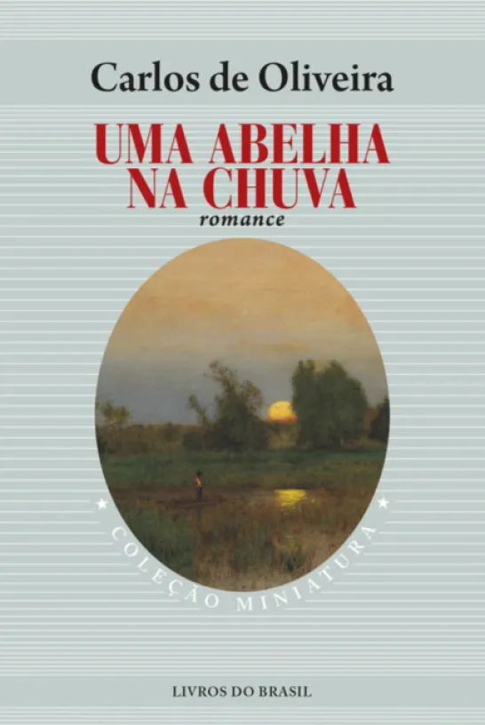 Uma Abelha na Chuva